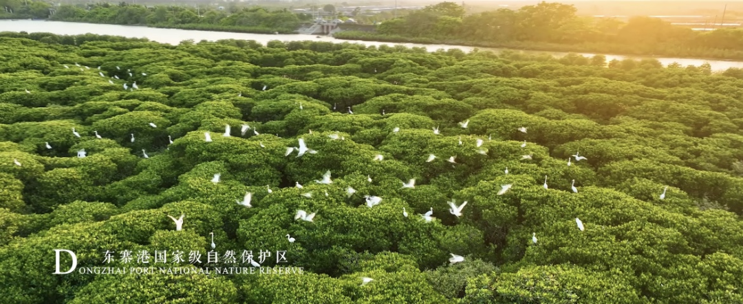 《瞰·?？凇烦鞘行蜗笮麄髌缴暇€！